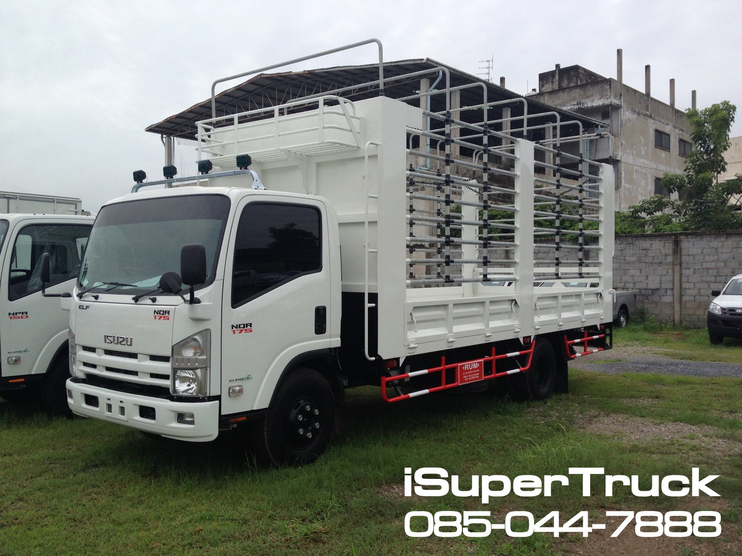 ISUZU NQR Euro 5 Max (ช่วงยาว 5.6 เมตร) หัวแชสซี (Chassis)