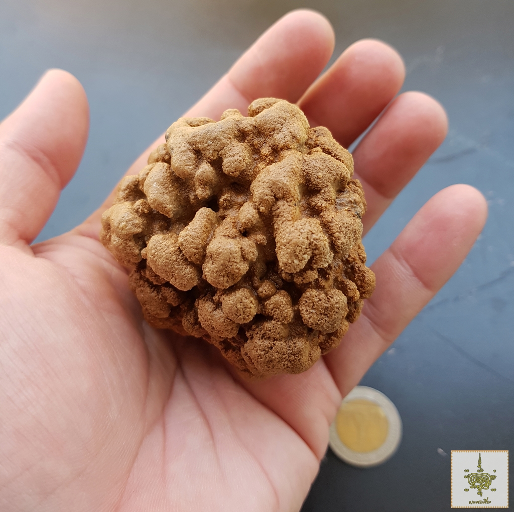 พระธาตุสิวลี ขนาดกลาง