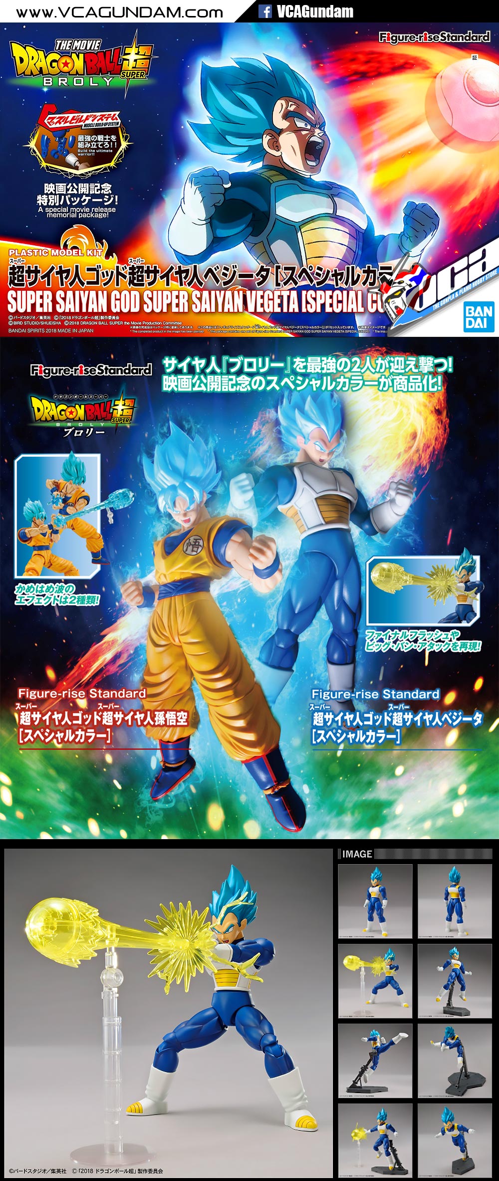 SUPER SAIYAN GOD SUPER SAIYAN VEGETA (SPECIAL COLOR)