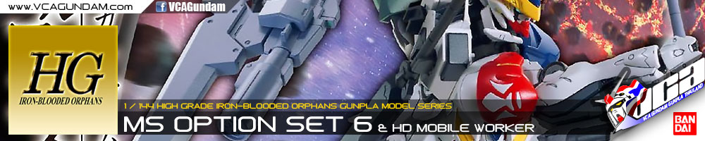 HG MS OPTION SET 6 & HD MOBILE WORKER