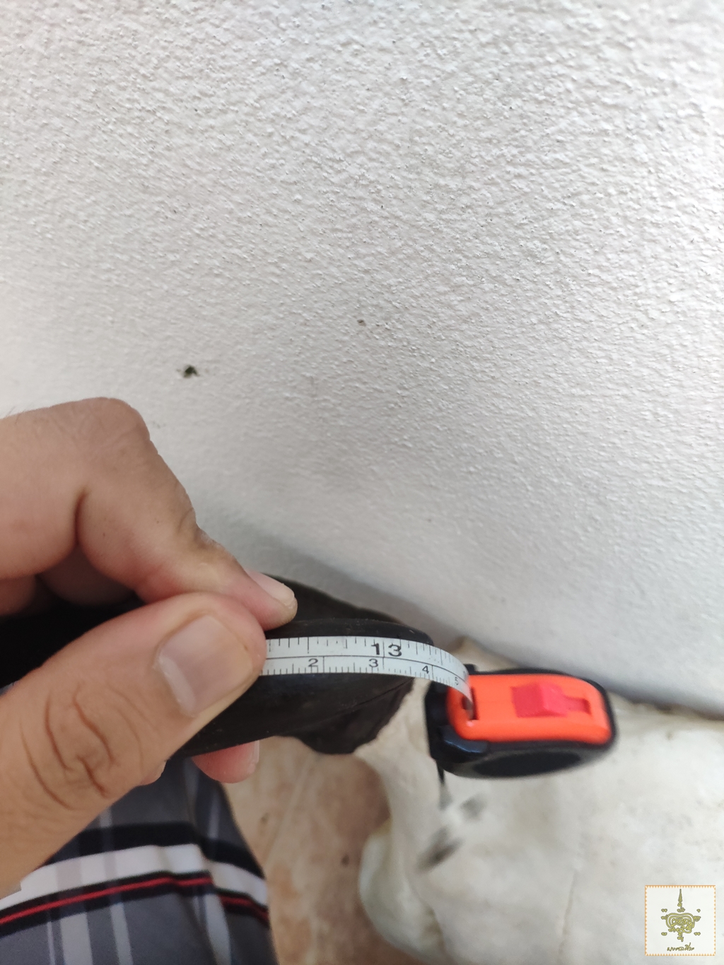 เขาวัว 6