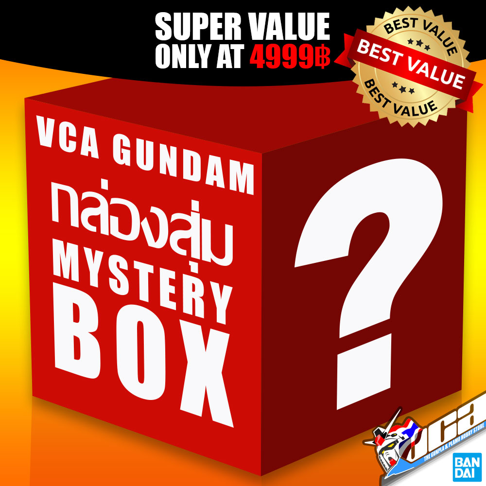VCA MYSTERY BOX 4999