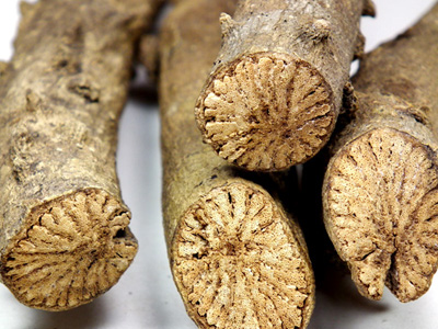 ผงม้ากระทืบโรง 100%