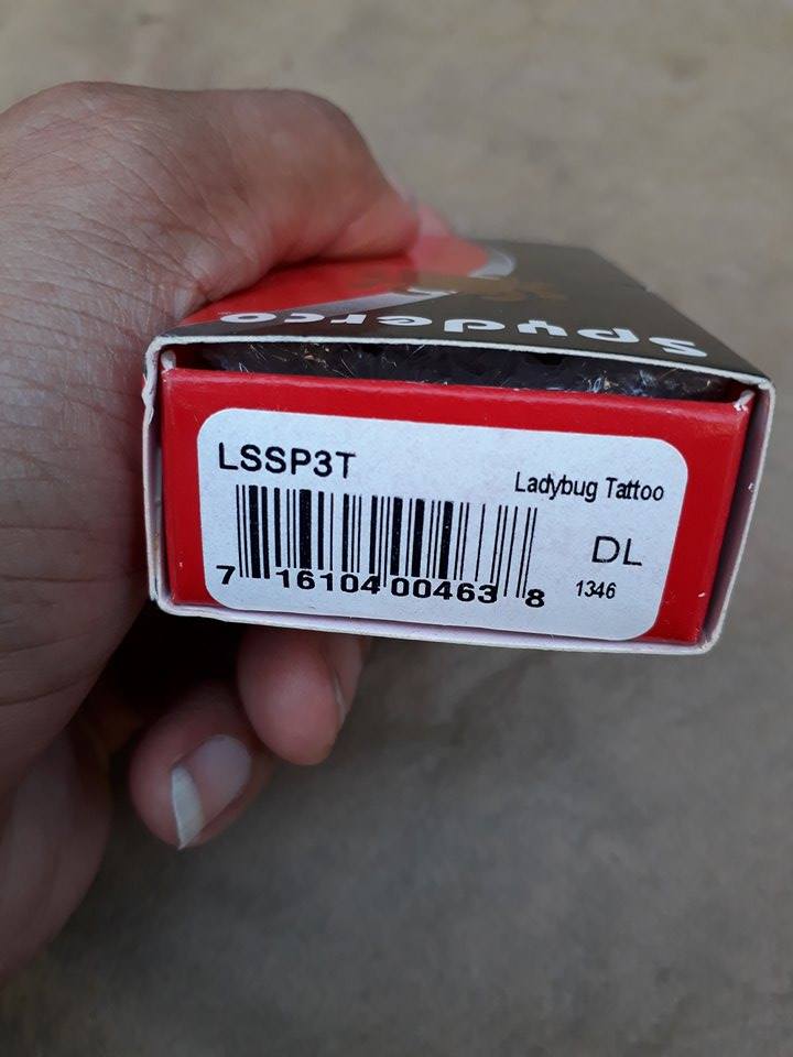 Spyderco Ladybug Tattoo Plain Edge Knife - LSSP3T