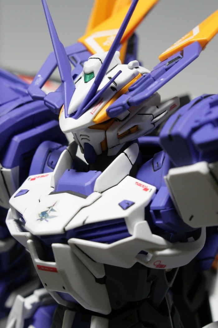 MG 1/100 GUNDAM ASTRAY BLUE FRAME D Painted build by 건매니아