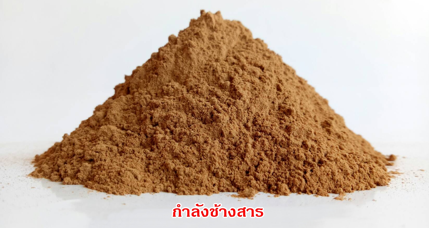 ผงกำลังช้างสาร 100%