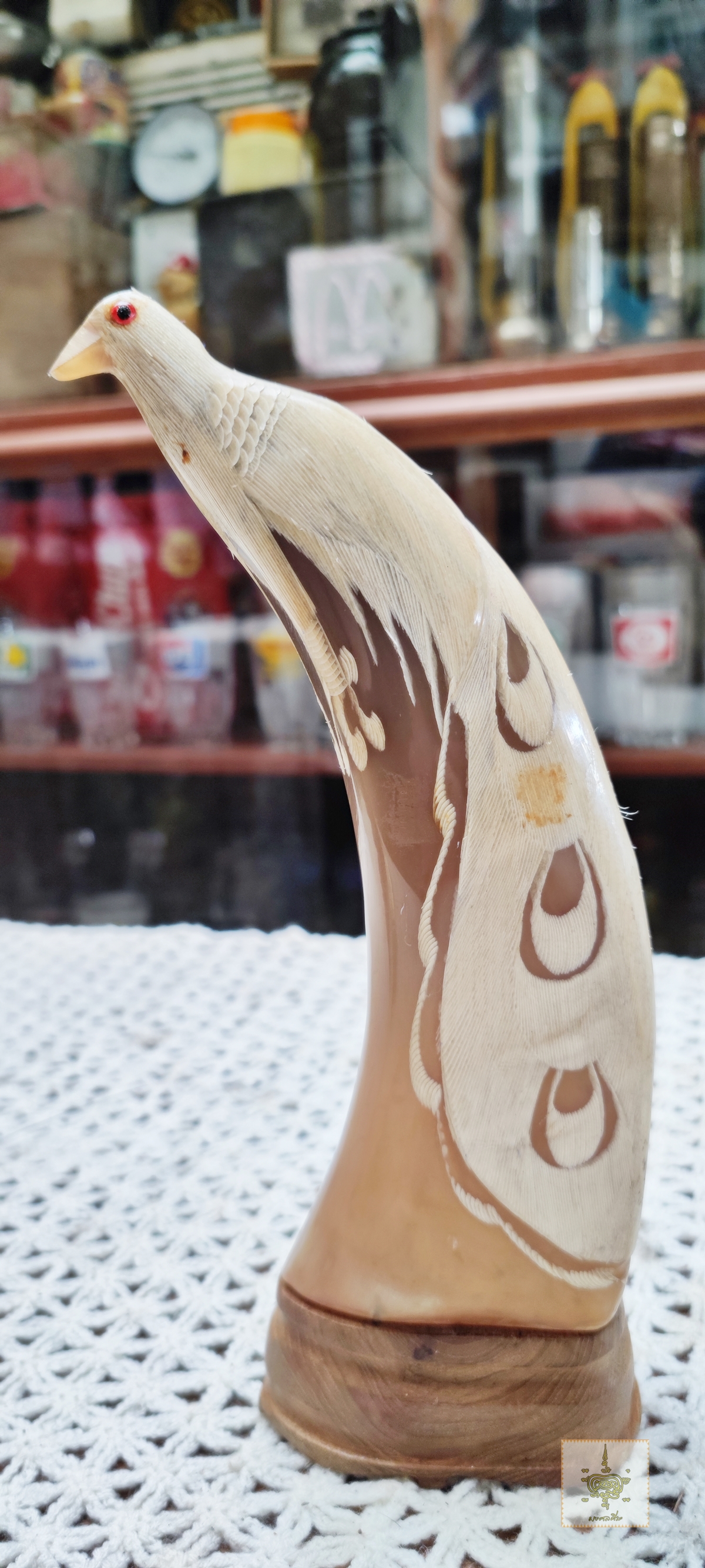 นกยูง คู่ เขาควายเผือก