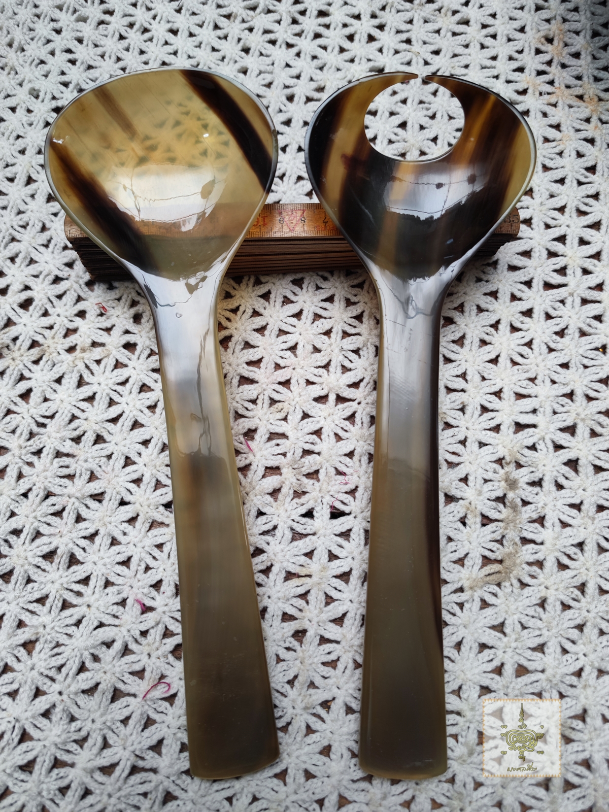 กัวซา เขาควายเผือก