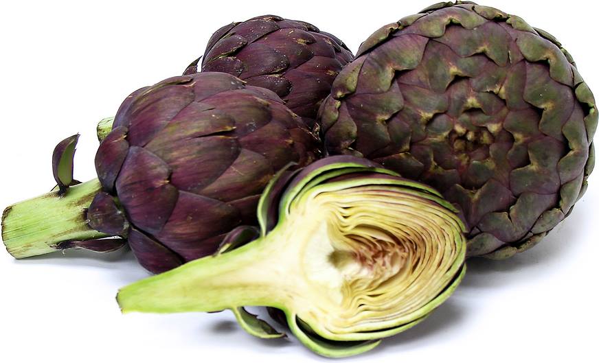 หัวปลีฝรั่ง หรือ อะติโช๊ค สีม่วง Artichoke - Violet Globe 10 เมล็ด
