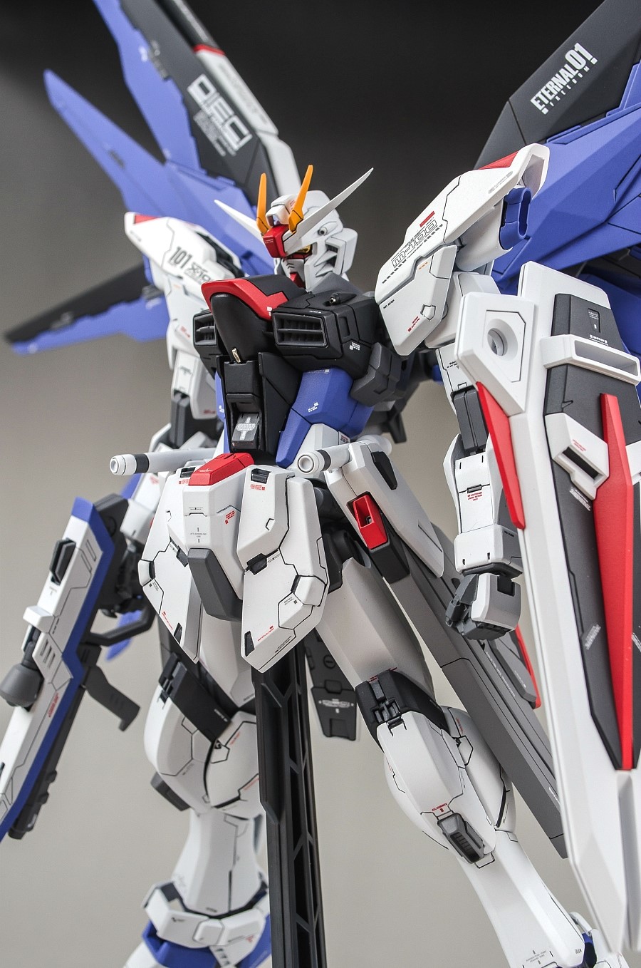 MG 1/100 FREEDOM GUNDAM | Painted Build by mushuwyou
