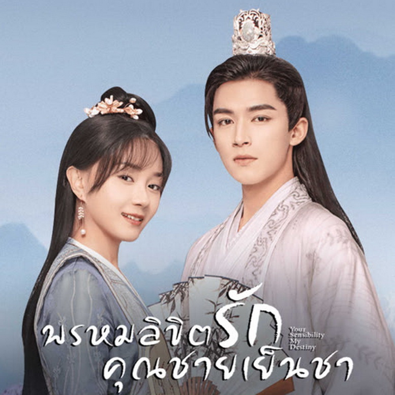 [จีนพากย์ไทย] พรหมลิขิตรักคุณชายเย็นชา Your Sensibility My Destiny DVD 4 แผ่น