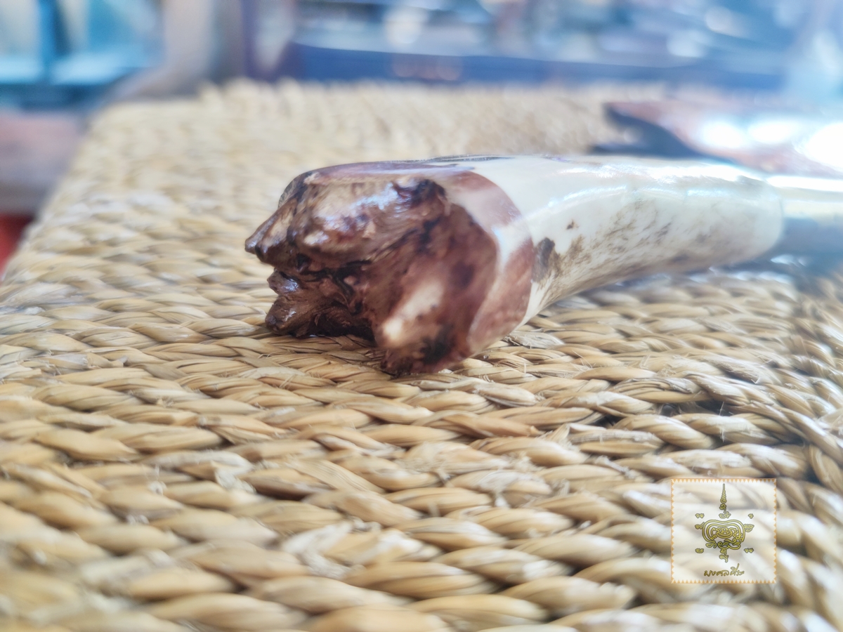 มีดเหน็บเล็ก เขากวาง ฝักไม้ปุ่ม