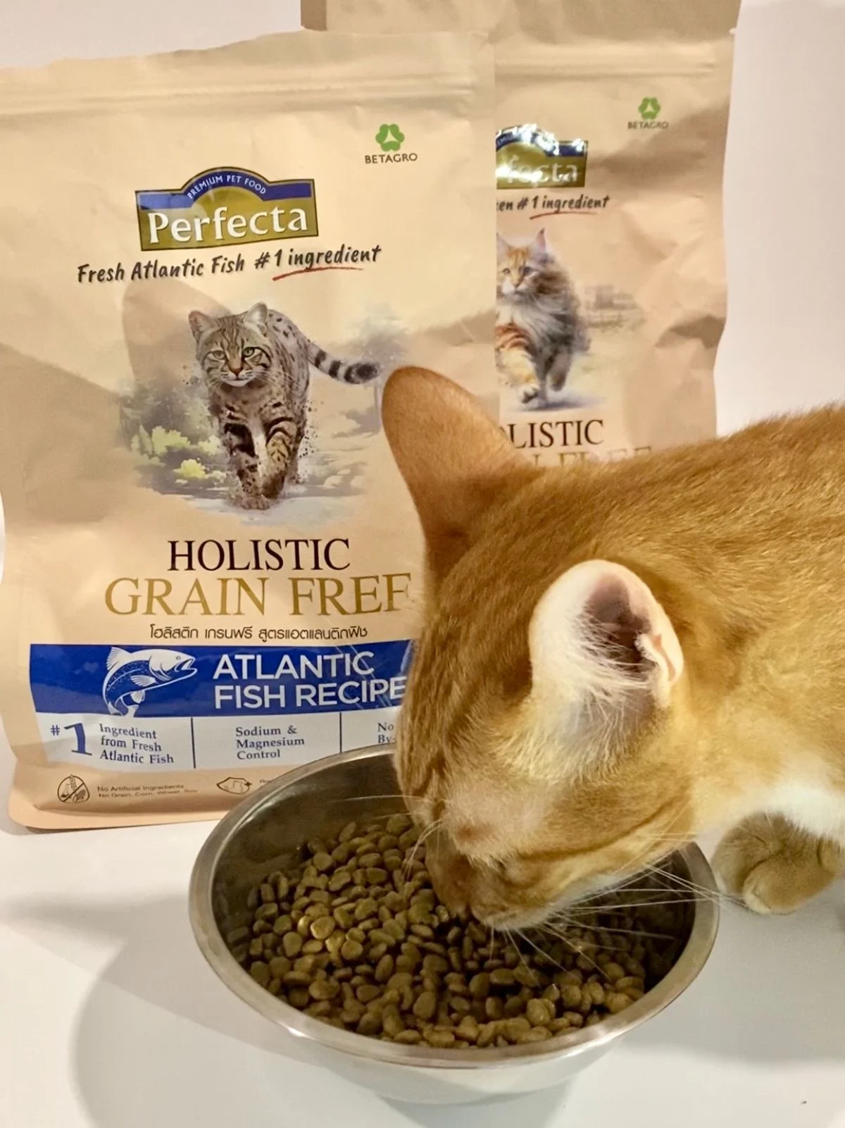 Perfecta Holistic Grain Free เพอร์เฟคต้า อาหารเม็ดแมว เกรดโฮลิสติก เกรนฟรี