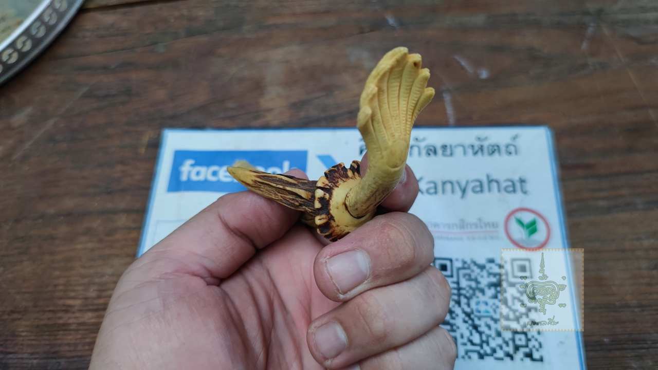 ไปป์ ทำจากเขาสัตว์