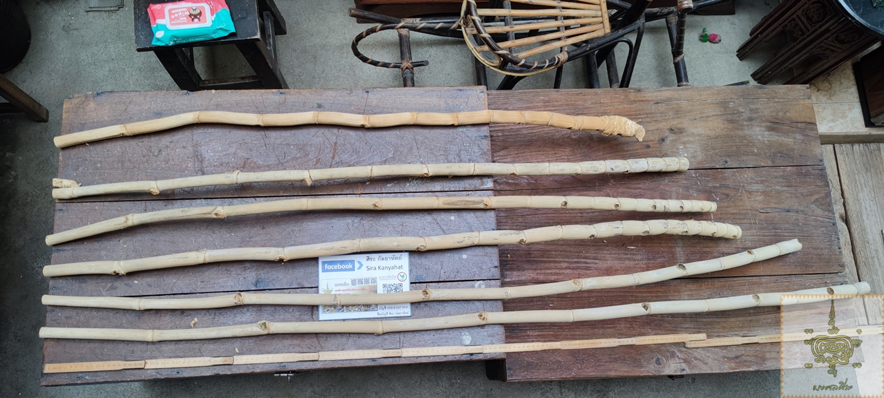 ไม้ไผ่ตัน ชุดที่3