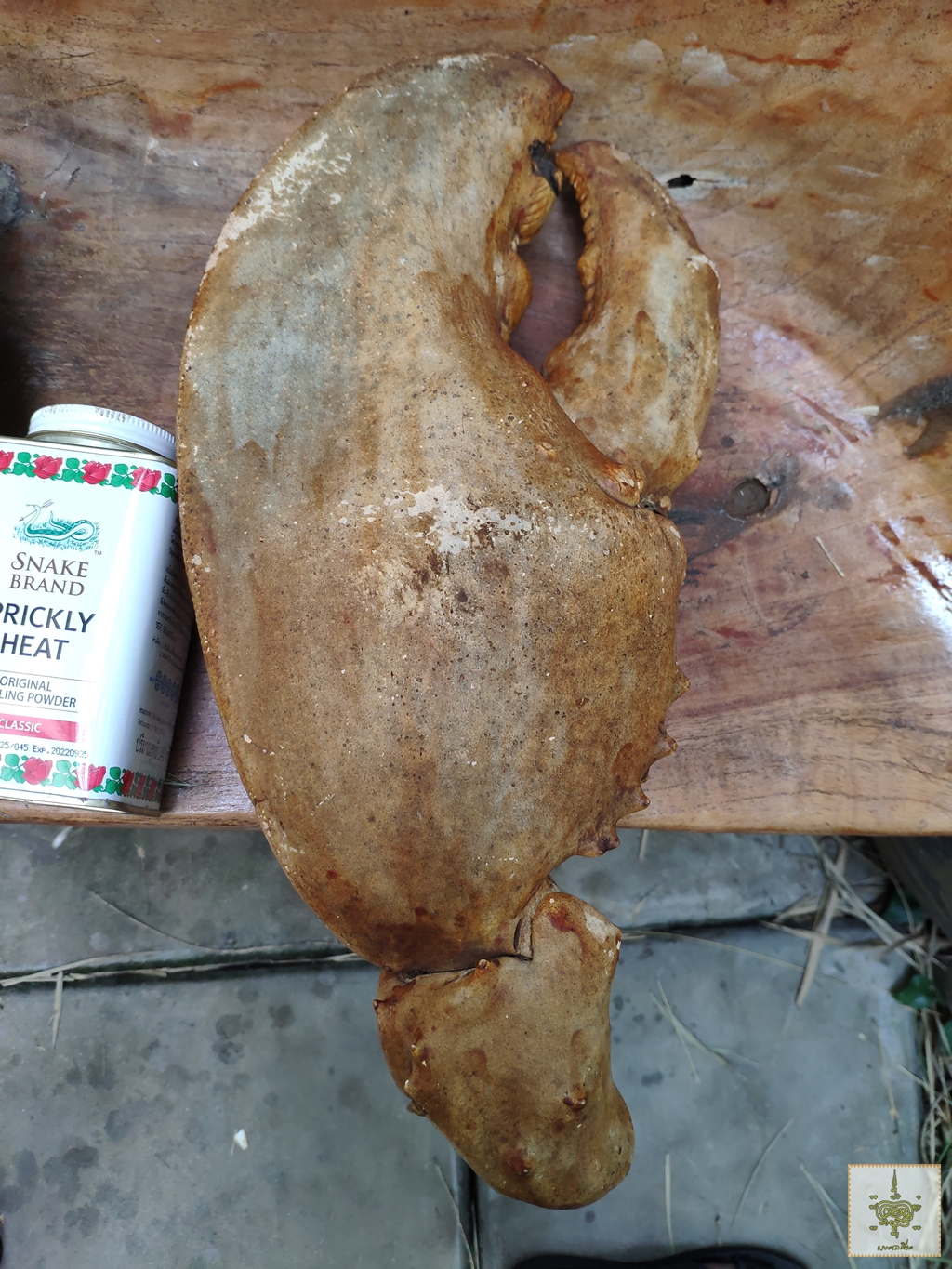 ก้ามปู 1 คู่