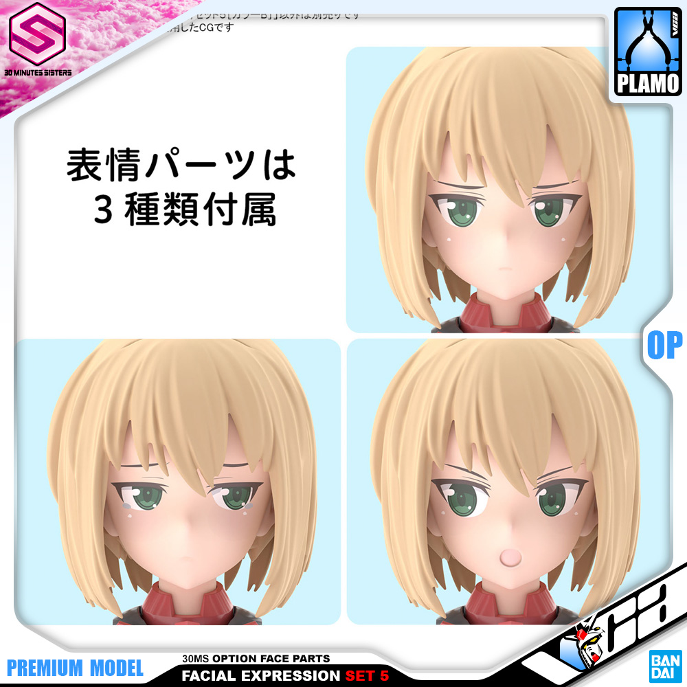 30MS OPTION FACE PARTS FACIAL EXPRESSION SET 5 (COLOR B)