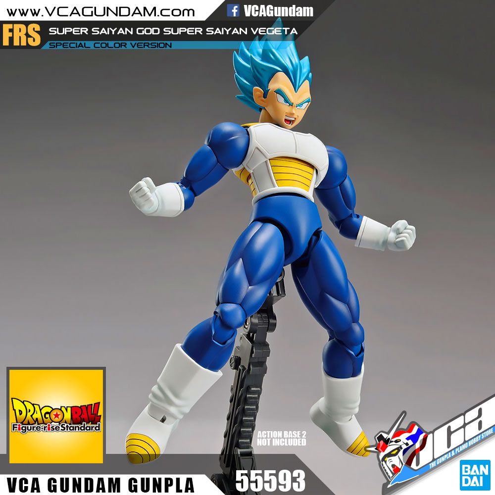 SUPER SAIYAN GOD SUPER SAIYAN VEGETA (SPECIAL COLOR)
