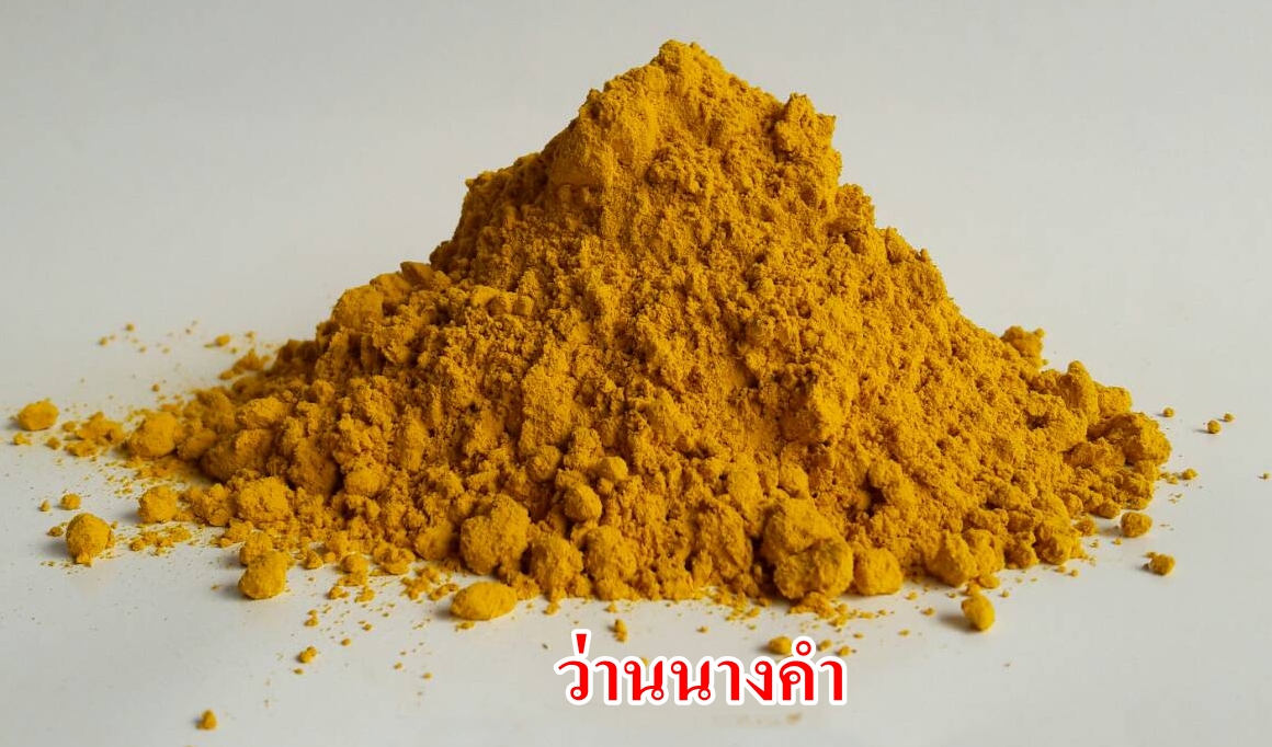 ผงว่านนางคำ 100% (Wild Turmaric Powder)