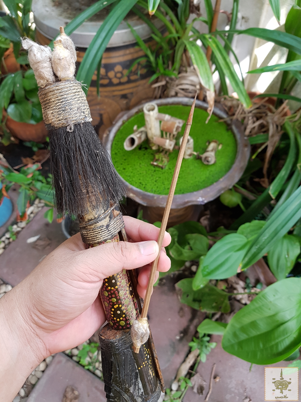 กระบอกใส่ลูกดอก และลูกดอก จากนิวซีแลนด์