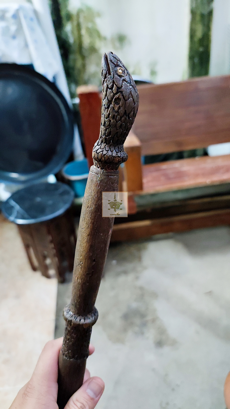 ไม้ตะพตงู