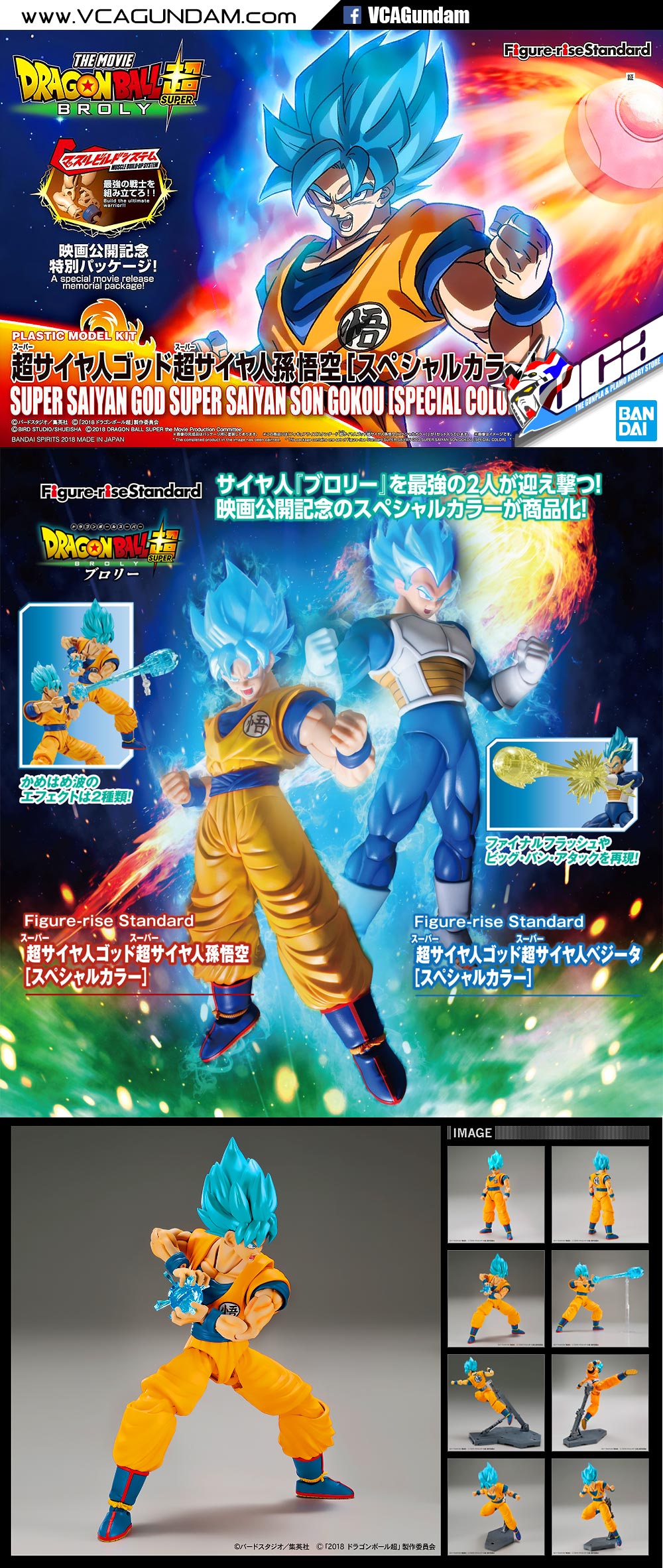 SUPER SAIYAN GOD SUPER SAIYAN SON GOKOU (SPECIAL COLOR)