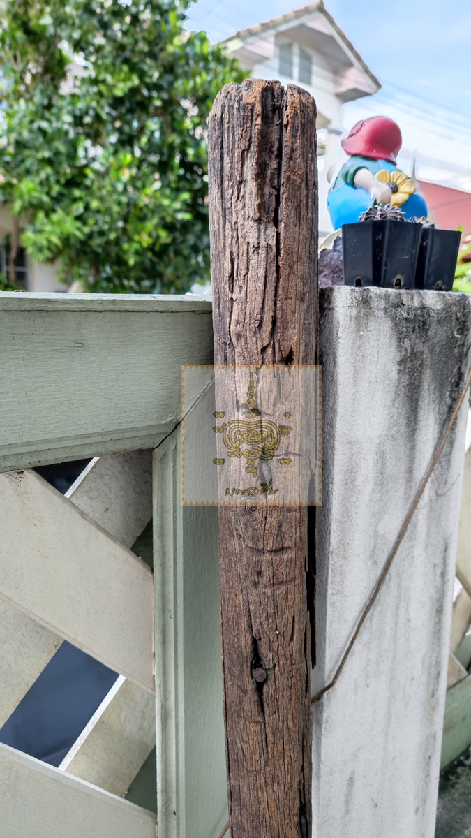 สากเก่า 3