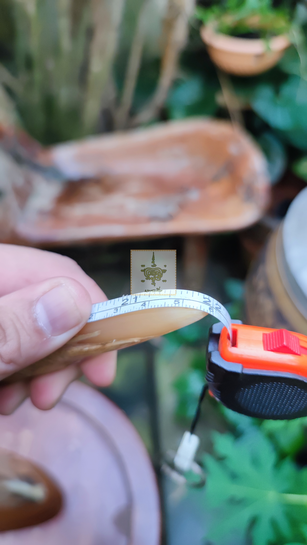 เขาควายเผือก 5