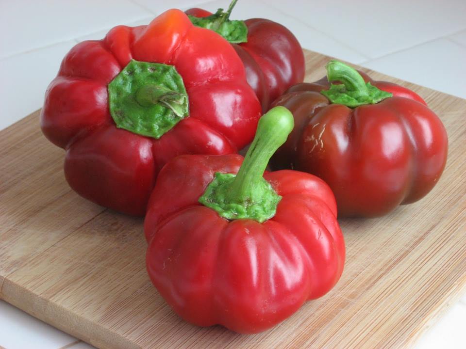 พริกฟักทองสีแดง Red Pumpkin Pimento Pepper Sweet 20 เมล็ด
