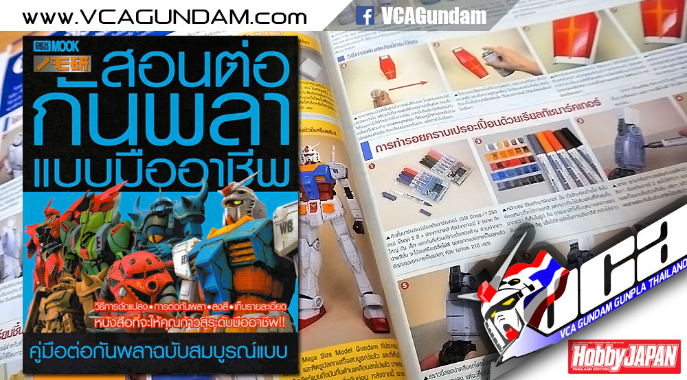 สอนต่อกันพลาแบบมืออาชีพ