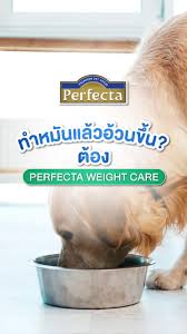 Perfecta Holistic Grain Free เพอร์เฟคต้า อาหารเม็ดสุนัข เกรดโฮลิสติก เกรนฟรี