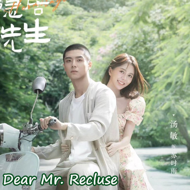 [จีนซับไทย] Dear Mr. Recluse ขโมยใจหนุ่มสันโดษ DVD 3 แผ่น