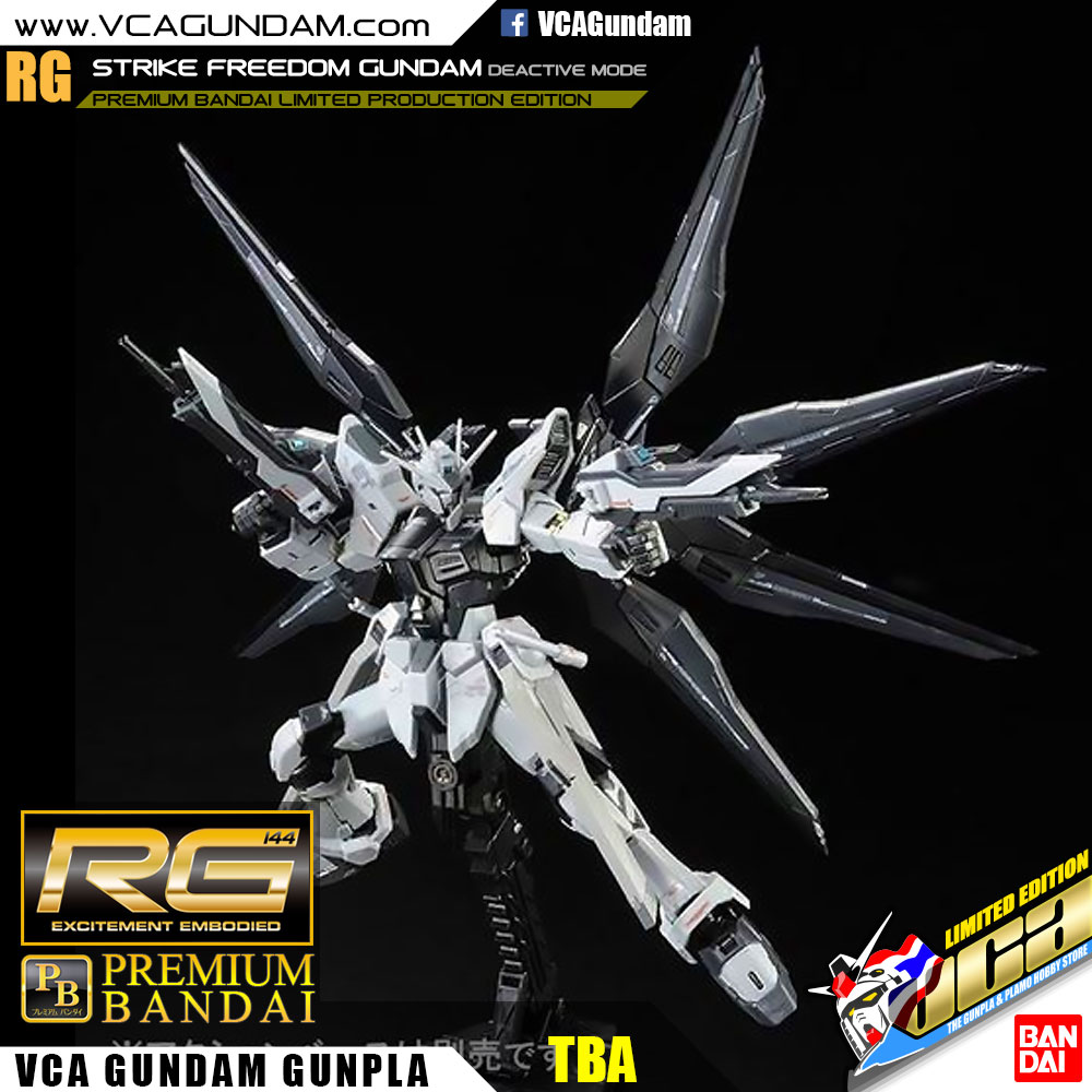 RG STRIKE FREEDOM GUNDAM (DEACTIVE MODE) สไตร์ค ฟรีดอม กันดั้ม