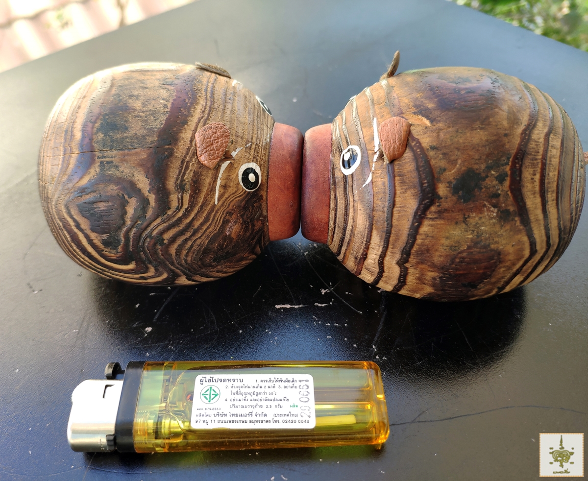 หมูไม้ จูบกัน 2 ตัว