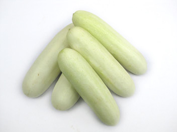 แตงกวาสีขาว White Wonder Cucumber Seeds 30 เมล็ด