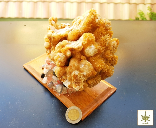 หินงอก หินย้อย ธรรมชาติ ติดแท่น 6 ทรงดอกกระหล่ำ