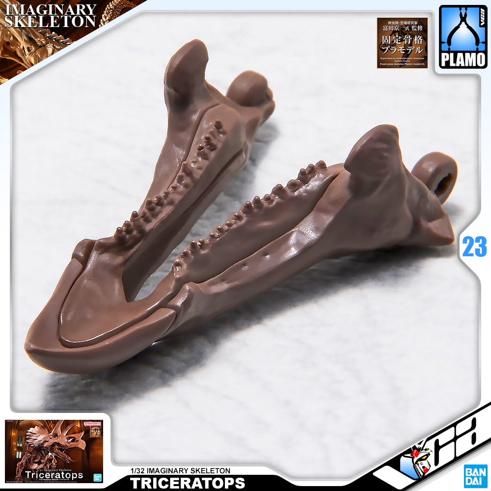 ⭐️ BANDAI IMAGINARY SKELETON 1/32 TRICERATOPS ประกอบ โมเดล ของเล่น VCA GUNDAM
