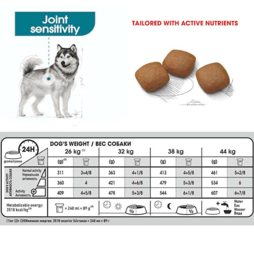 อาหารสุนัขแบบเม็ด Royal Canin Maxi Joint Care ขนาด 10 กก