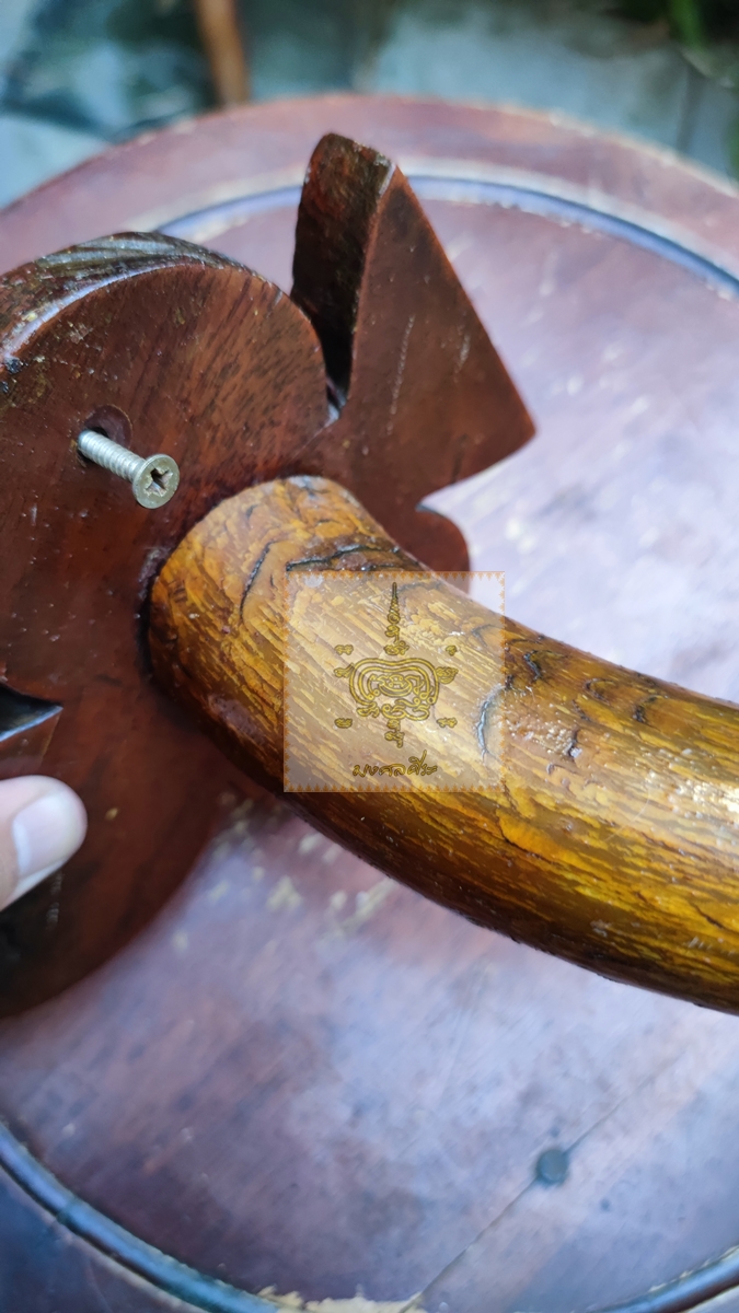 เขาวัว ติดไม้แขวนของ