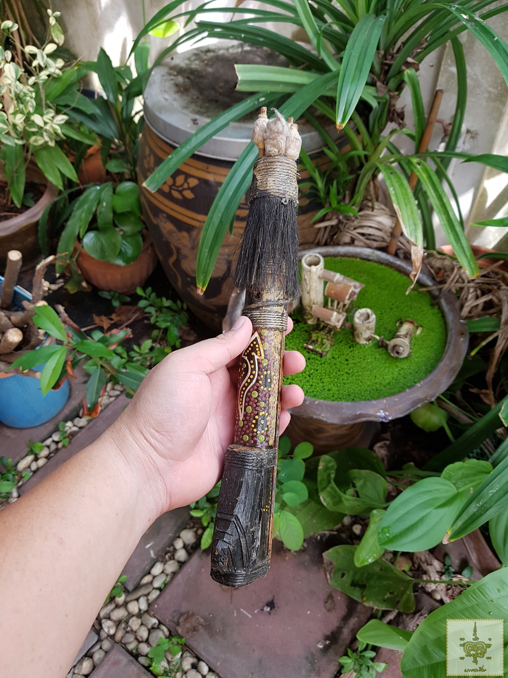 กระบอกใส่ลูกดอก และลูกดอก จากนิวซีแลนด์