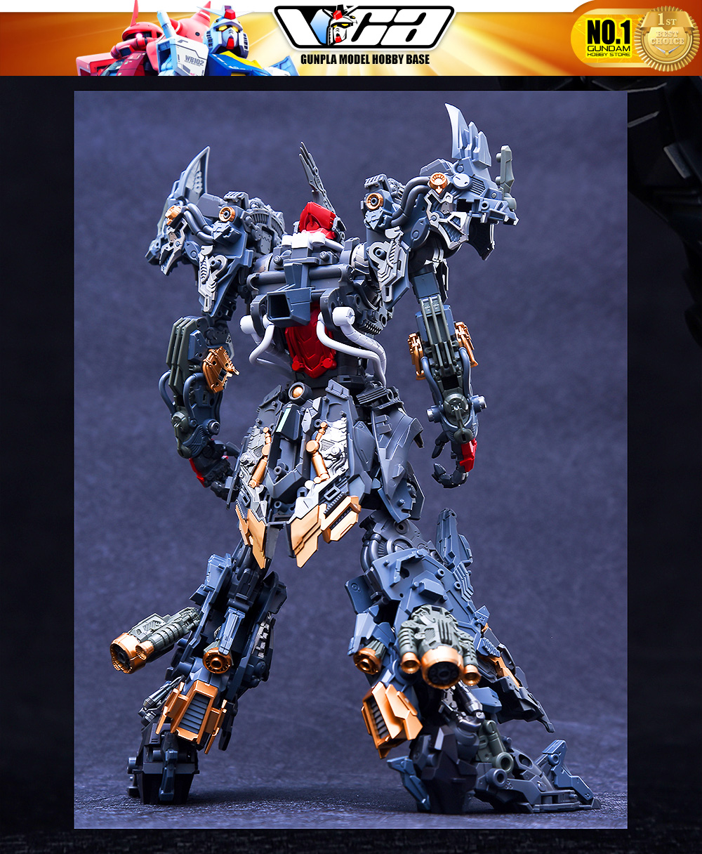 Infinite Dimension 无限新星 In Era+ RMD Lizard 利扎得 Master Grade MG Plastic Model Action Figure Toy Kit VCA Gundam Thailand
