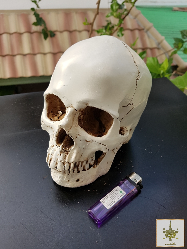 เรซินหัวกะโหลก