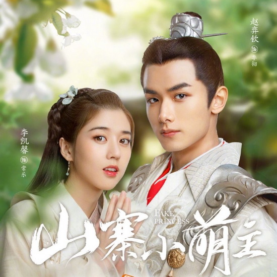 [จีนซับไทย] Fake Princess ชายากำมะลอ DVD 5 แผ่น