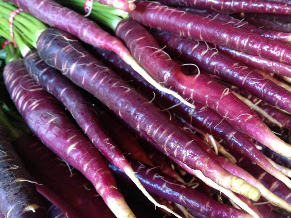 เมล็ดแครอทสีม่วง Carrot Cosmic Purple 100 เมล็ด