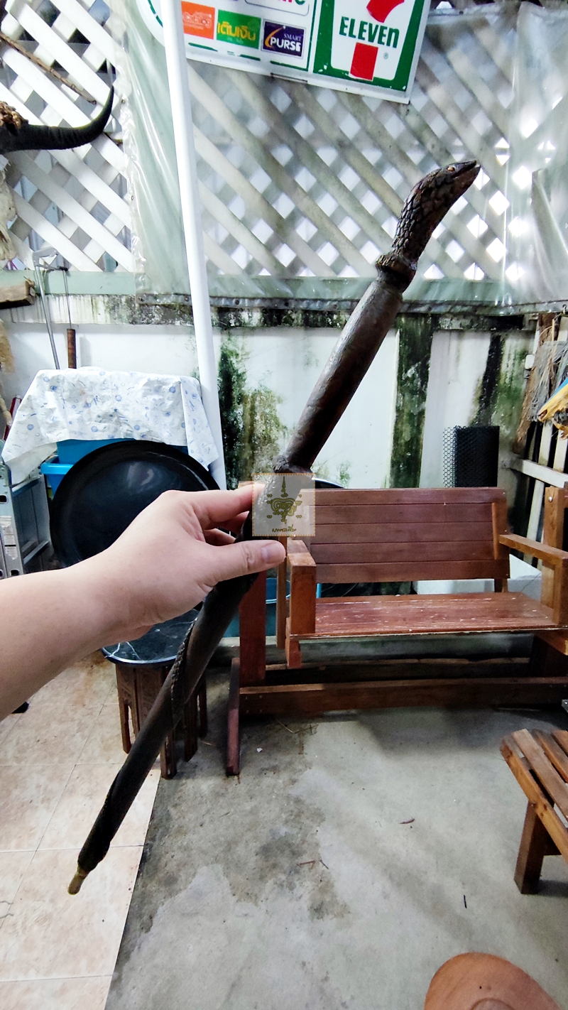 ไม้ตะพตงู