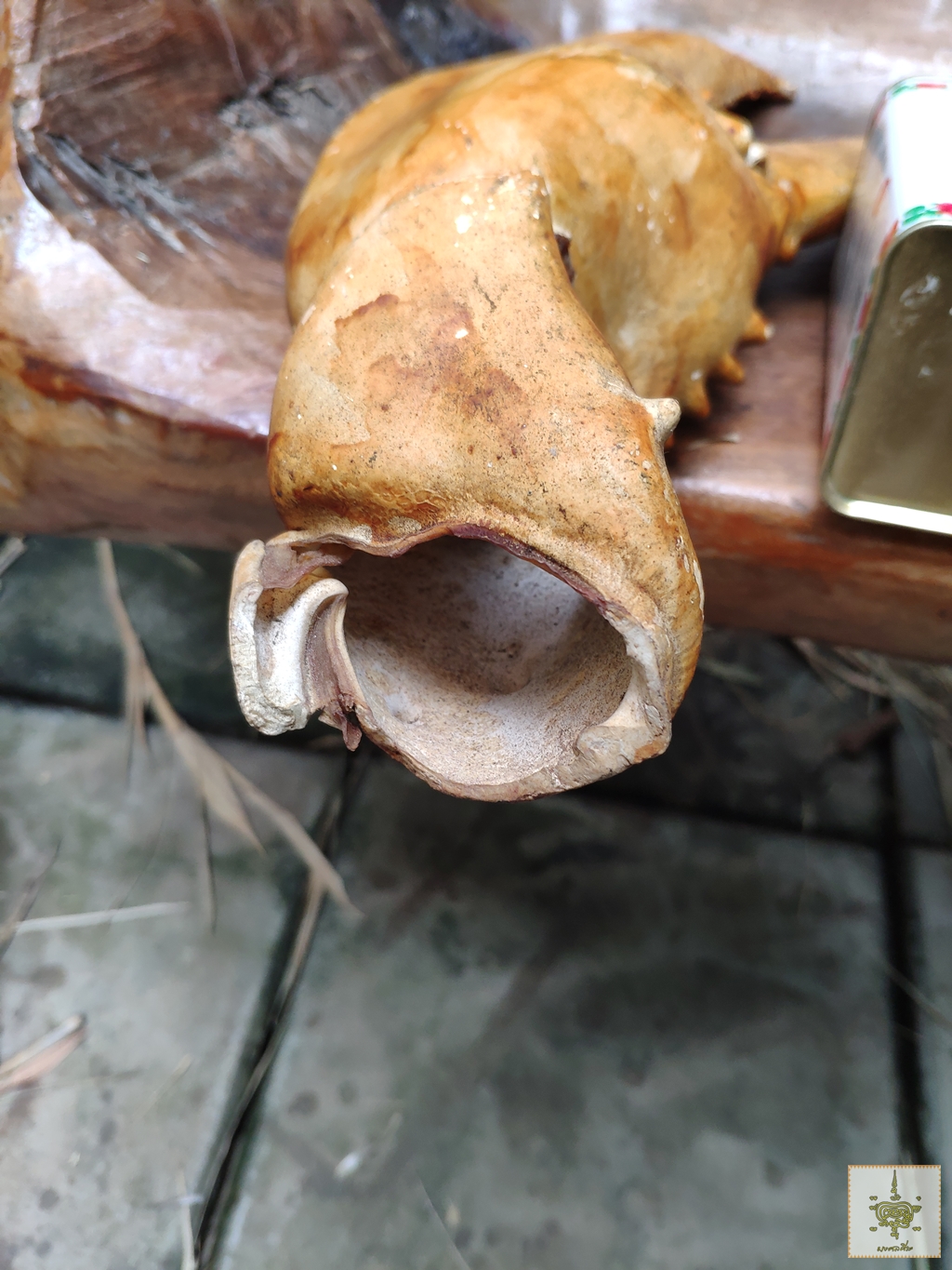 ก้ามปู 1 คู่