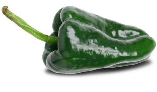 พริกแอนโซ โพบลาโน่ Ancho Poblano Pepper ชุดละ 12 เมล็ด