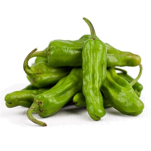 พริกกะจู๋ญี่ปุ่นเขียว Shishito Green Pepper ชุดละ 10 เมล็ด
