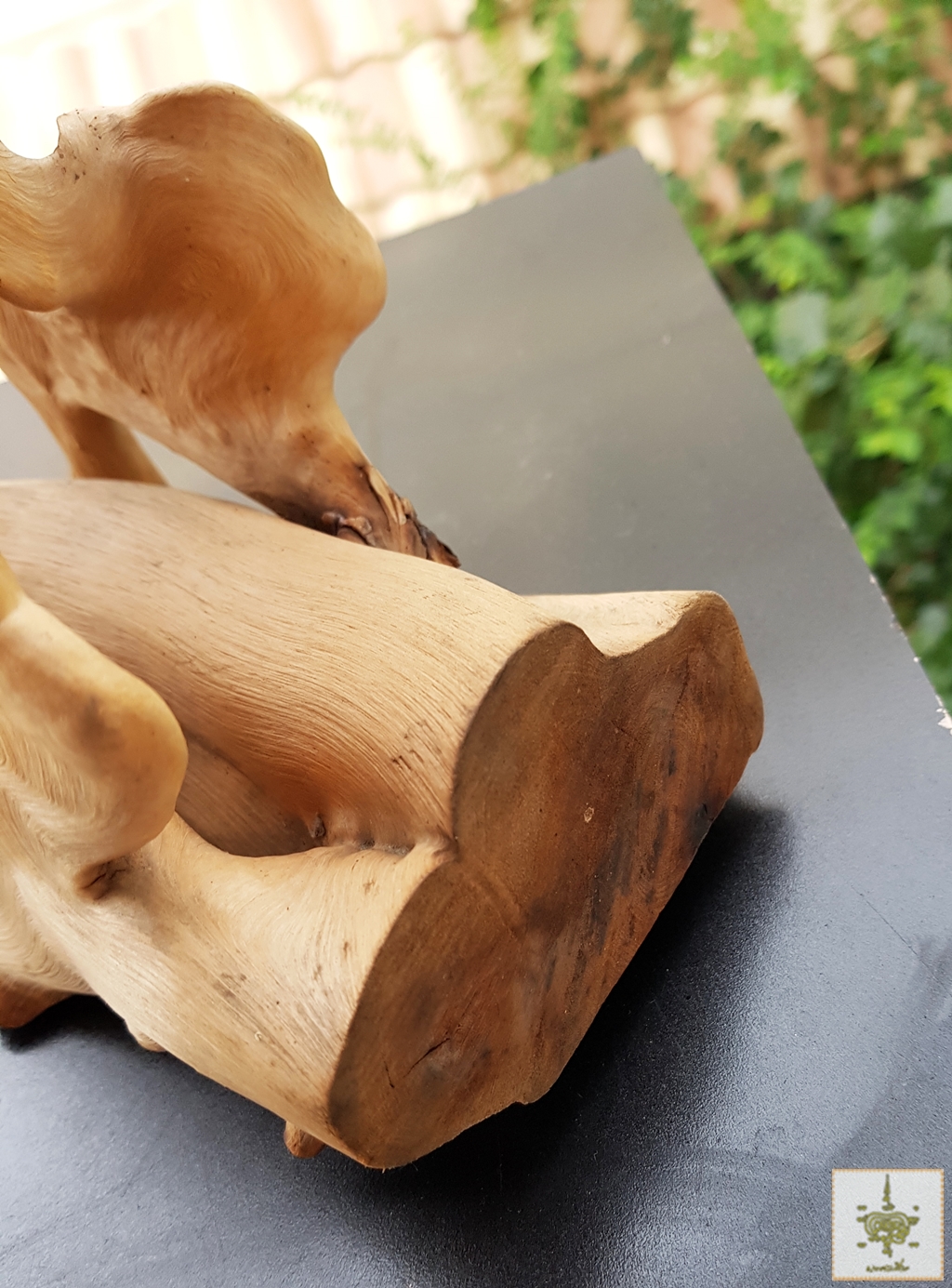 ขอนไม้แปลก