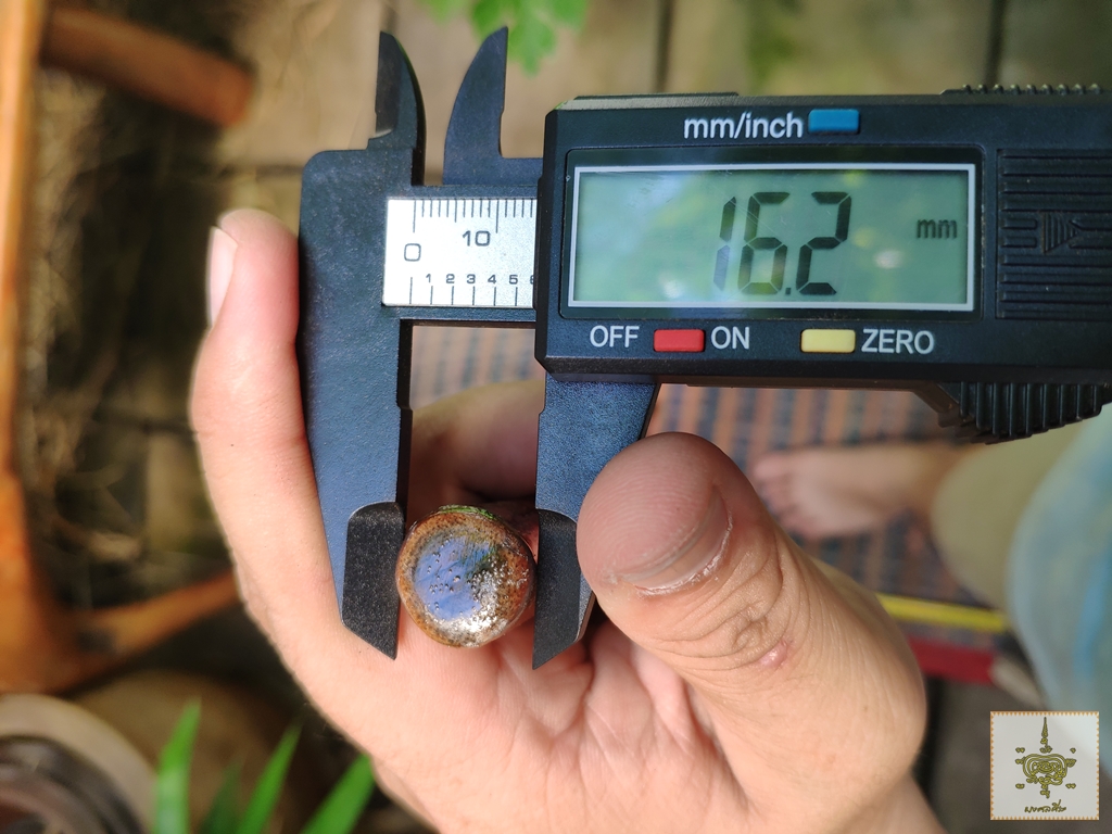 ไม้เท้า ไม้ปังยายา